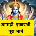 WhatsApp Image 2025-07-06 at 5.03.55 PM
