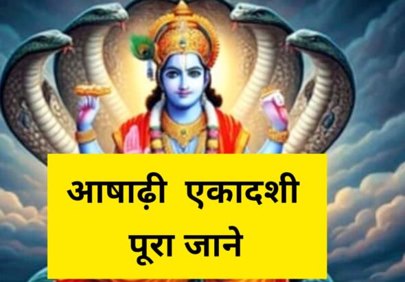 WhatsApp Image 2025-07-06 at 5.03.55 PM